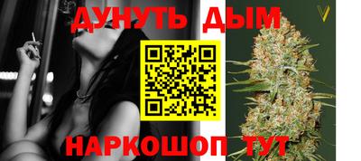 mdpv Ярославль