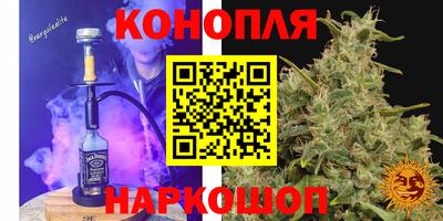 mdpv Ярославль