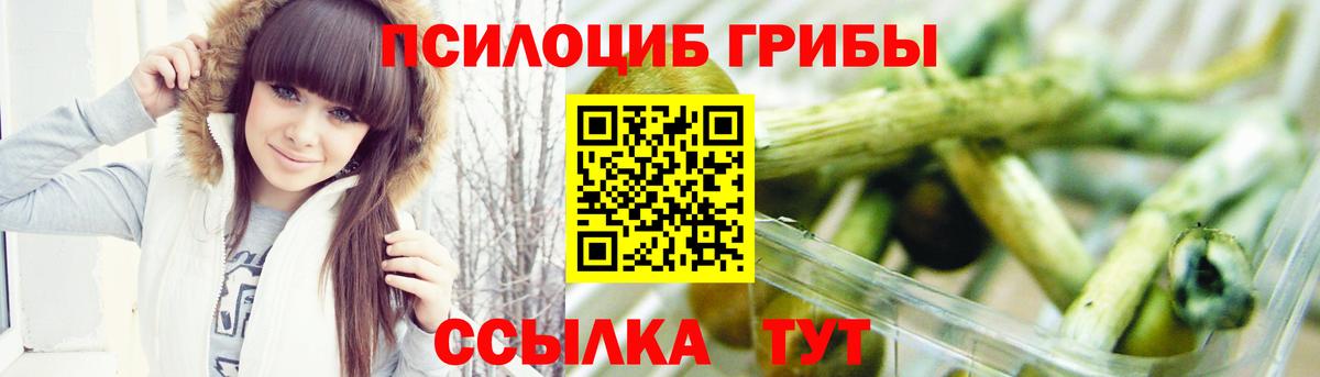Галлюциногенные грибы Psilocybe Волжский